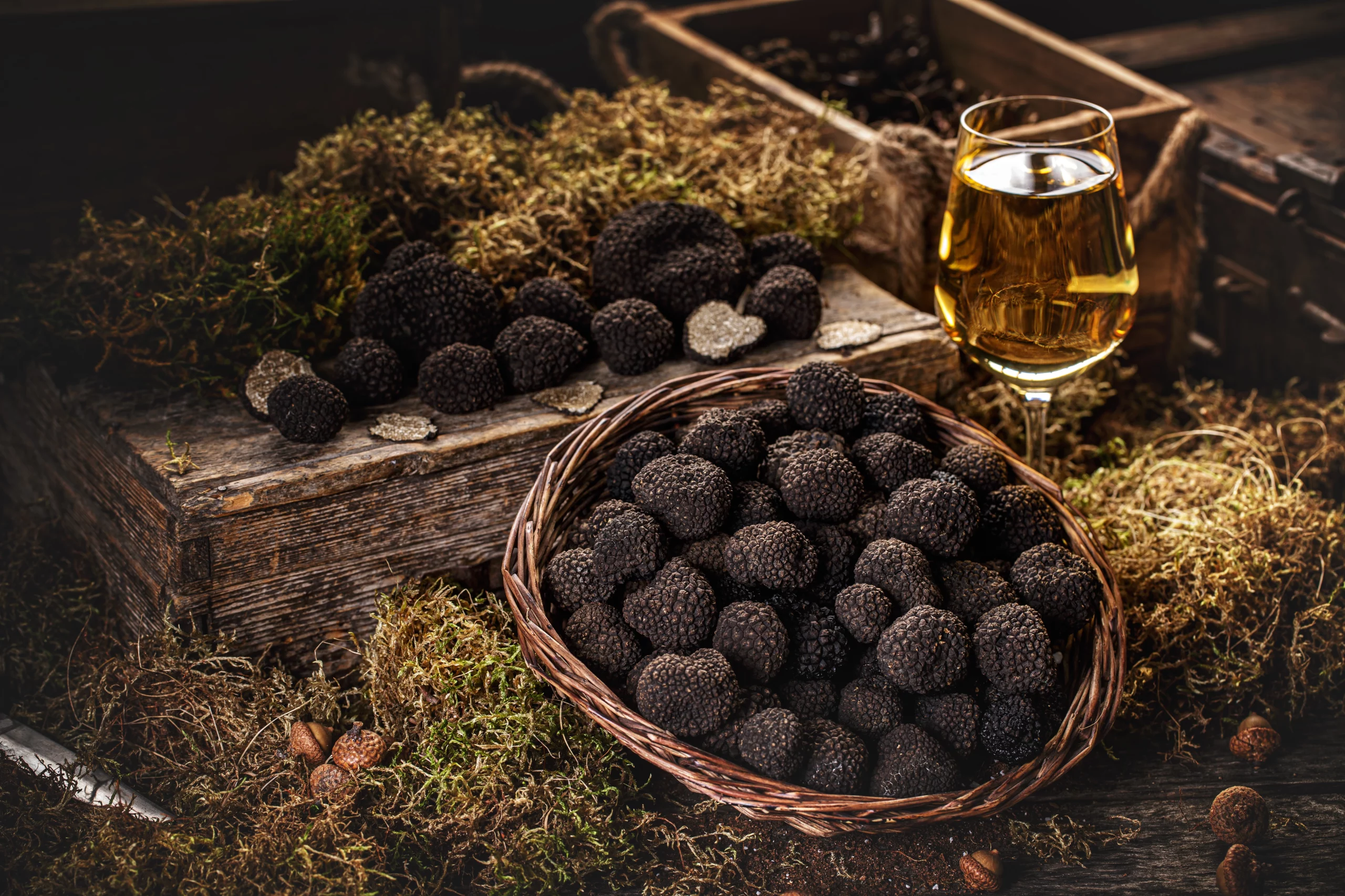 Truffe noire en Provence