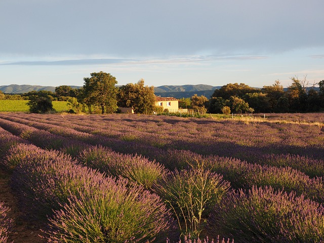 incontournables à visiter en provence